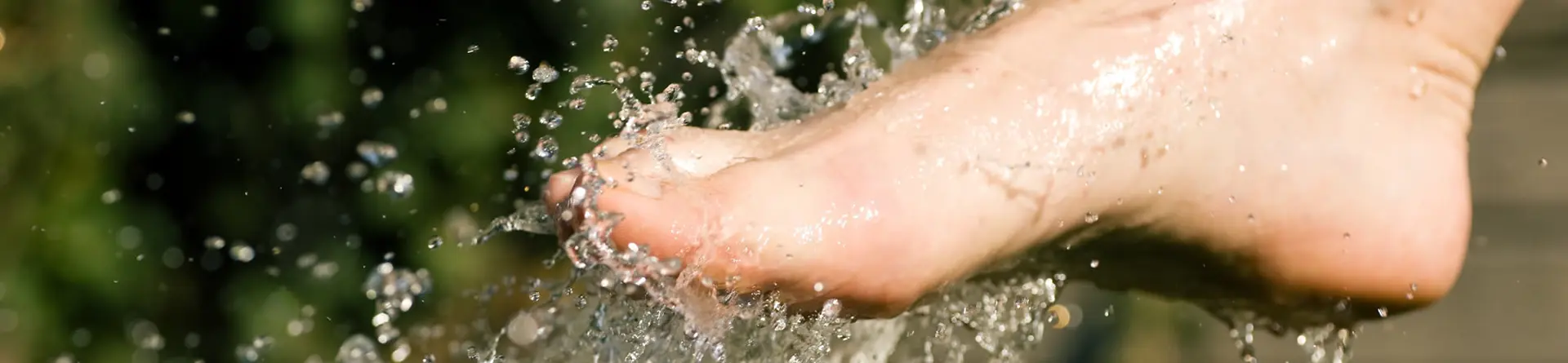 Gesundheitstrainer für Naturheilverfahren nach Kneipp in Brandenburg